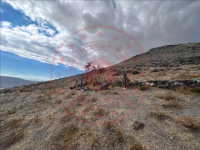 Konya Karapınar Akören Köyü Milli Emlak'tan Satılık 7.196,45 m2 Tarla