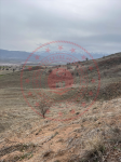 Sivas Suşehri Üzümlü Köyü Milli Emlak'tan Satılık 12.890,80 m2 Tarla