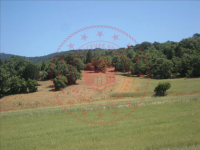 Kütahya Merkez Ürünlüçiftliği Köyü Milli Emlak'tan Satılık 1.175,99 m2 Tarla