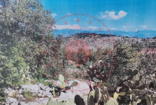 Mersin Tarsus Kırıtlar Köyü Milli Emlak'tan Satılık 2.408,44 m2 Tarla