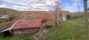 Bingöl Merkez Ardıçtepe Köyü Milli Emlak'tan Satılık 1.248,75 m2 Tarla