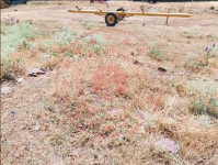 Afyonkarahisar Başmakçı Ovacık Köyü Milli Emlak'tan Satılık 1.189,39 m2 Tarla