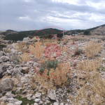 Muğla Fethiye Karaağaç Köyü Milli Emlak'tan Satılık 1.420,31 m2 Arsa