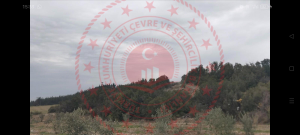 Denizli Honaz Ovacık Köyü Milli Emlak'tan Satılık 2.154,45 m2 Tarla