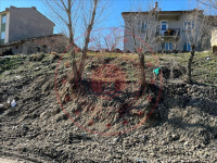 Afyonkarahisar Sinanpaşa Tınaztepe Milli Emlak'tan Satılık 362,69 m2 Arsa