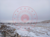 Konya Selçuklu Karaömerler Köyü Milli Emlak'tan Satılık 1.393,90 m2 Arsa