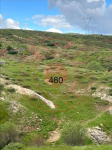 Bingöl Genç Yayla Köyü Milli Emlak'tan Satılık 2.165,45 m2 Tarla