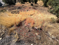 Bingöl Genç Yayla Köyü Milli Emlak'tan Satılık 800,00 m2 Tarla