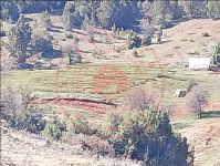 Afyonkarahisar Başmakçı Çığrı Köyü Milli Emlak'tan Satılık 1.923,00 m2 Tarla