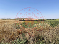 Edirne Uzunköprü Turnacı Köyü Milli Emlak'tan Satılık 3.237,47 m2 Tarla