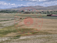 Van Tuşba Yumrutepe Köyü Milli Emlak'tan Satılık 2.714,61 m2 Tarla