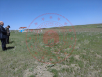 Yozgat Merkez Kuyumcu Köyü Milli Emlak'tan Satılık 513,03 m2 Tarla