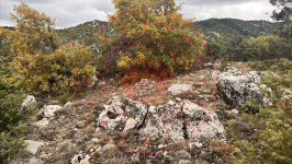 Konya Beyşehir Üzümlü Kasabası Milli Emlak'tan Satılık 334,14 m2 Arsa