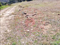 Afyonkarahisar Başmakçı Küllüce Köyü Milli Emlak'tan Satılık 660,00 m2 Arsa