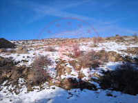 Afyonkarahisar Merkez Küçükkalecik Köyü Milli Emlak'tan Satılık 1.081,95 m2 Tarla