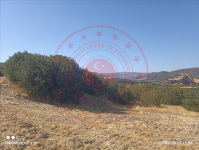 Manisa Kula Şehitlioğlu Mahallesi Milli Emlak'tan Satılık 5.484,21 m2 Arsa