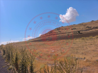 Nevşehir Gülşehir Terlemez Köyü Milli Emlak'tan Satılık 2.074,88 m2 Tarla