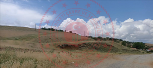 Kırıkkale Delice Kurtoğlu Köyü Milli Emlak'tan Satılık 1.655,00 m2 Tarla