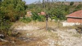 Balıkesir Altıeylül Cinge Köyü Milli Emlak'tan Satılık 500,10 m2 Tarla