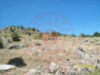 Konya Seydişehir Ketenli Kasabası Milli Emlak'tan Satılık 809,99 m2 Tarla