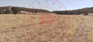 Uşak Eşme Takmak Köyü Milli Emlak'tan Satılık 1.496,80 m2 Tarla