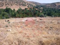 Mardin Artuklu Gürağaç Köyü Milli Emlak'tan Satılık 268,75 m2 Tarla
