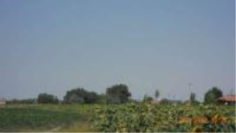 Aksaray Merkez Yeşilova - Köseli Mahallesi Milli Emlak'tan Satılık 1.461,64 m2 Arsa