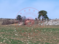 Çorum Mecitözü Bekişler Köyü Milli Emlak'tan Satılık 358,61 m2 Tarla