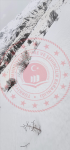 Tunceli Pülümür Nohutlu Köyü Milli Emlak'tan Satılık 8.651,48 m2 Tarla