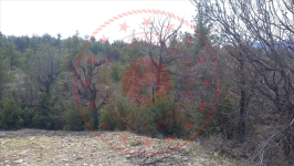 Karaman Ermenek Yalındal Köyü Milli Emlak'tan Satılık 917,45 m2 Tarla