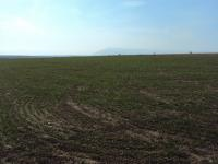 Afyonkarahisar Başmakçı Küllüce Köyü Milli Emlak'tan Satılık 3.330,03 m2 Arsa