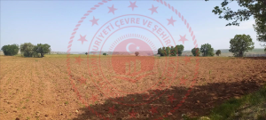Karaman Merkez Paşabağı Köyü Milli Emlak'tan Satılık 4.122,75 m2 Tarla