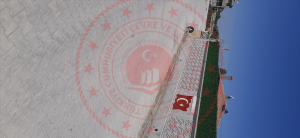 Konya Karatay Hayıroğlu Kasabası Milli Emlak'tan Satılık 160,90 m2 Tarla