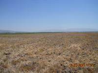 Niğde Bor Kızılca - Merkez Mahallesi Milli Emlak'tan Satılık 36.186,68 m2 Tarla