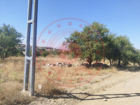 Ankara Evren Yusufuşağı Köyü Milli Emlak'tan Satılık 906,45 m2 Tarla