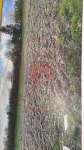 Osmaniye Merkez Yunus Emre Mahallesi Milli Emlak'tan Satılık 1.634,74 m2 Tarla
