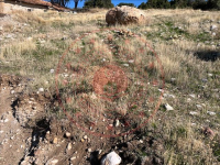 Afyonkarahisar Dinar Avdan Köyü Milli Emlak'tan Satılık 410,33 m2 Tarla