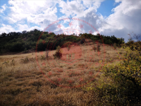 Çorum Laçin İkizce Köyü Milli Emlak'tan Satılık 751,95 m2 Tarla