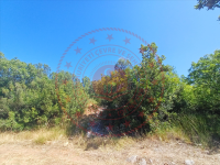 Muğla Menteşe Yaraş Köyü Milli Emlak'tan Satılık 5.985,67 m2 Tarla