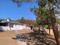 Düzce Merkez Sallar Mahallesi Milli Emlak'tan Satılık 1.145,26 m2 Arsa