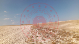 Nevşehir Kozaklı Merdanali Köyü Milli Emlak'tan Satılık 4.996,86 m2 Tarla