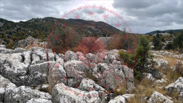 Konya Beyşehir Üzümlü Kasabası Milli Emlak'tan Satılık 454,07 m2 Arsa