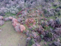 Balıkesir Havran Hallaçlar Köyü Milli Emlak'tan Satılık 361,04 m2 Tarla