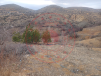 Konya Selçuklu Sille Mahallesi Milli Emlak'tan Satılık 842,68 m2 Arsa