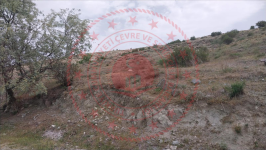 Afyonkarahisar Şuhut İsalı Köyü Milli Emlak'tan Satılık 1.858,58 m2 Tarla