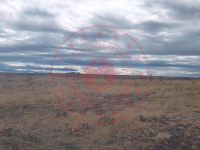 Konya Hüyük Selki Kasabası Milli Emlak'tan Satılık 8.345,06 m2 Tarla