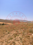 Kırşehir Merkez Karahıdır - Boğaziçi Mahallesi Milli Emlak'tan Satılık 806,00 m2 Arsa