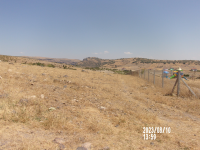 Ankara Beypazarı Adaören Köyü Milli Emlak'tan Satılık 462,54 m2 Tarla