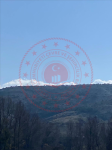 Tokat Artova Salur Köyü Milli Emlak'tan Satılık 6.908,96 m2 Tarla