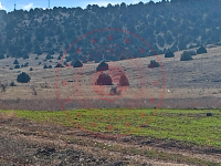 Konya Kadınhanı Şahören Köyü Milli Emlak'tan Satılık 6.600,00 m2 Tarla